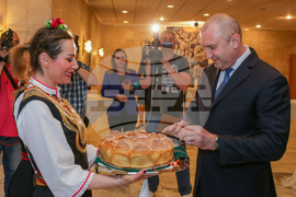 Германия - Румен Радев - българска общност - среща 
