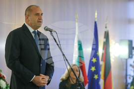 Германия - Румен Радев - българска общност - среща