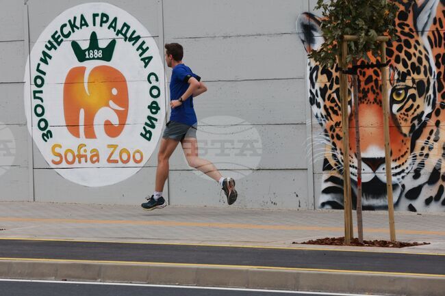 Нови цени на билетите в зоологическа градина в София, прие Столичният общински съвет