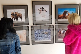 Кърджали - изложба - галерия