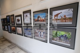 Кърджали - изложба - галерия