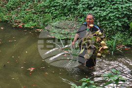 Плевен - водни лилии - парк "Кайлъка"