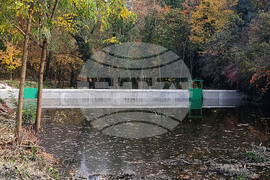 Плевен - водни лилии - парк "Кайлъка"