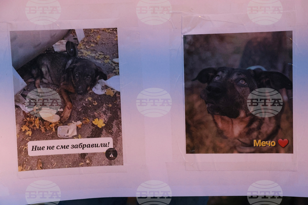 Събиране-протест - НПО "Мечо и приятели"