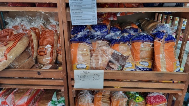 Government Endorses Establishment of State-Run Stores