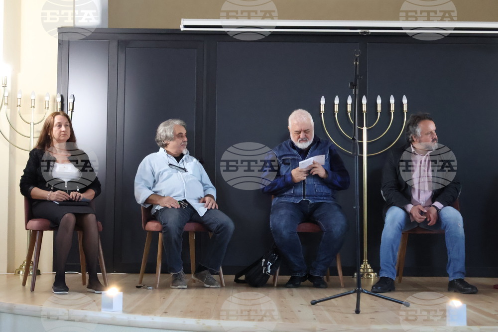 Видин - поетичен пленер