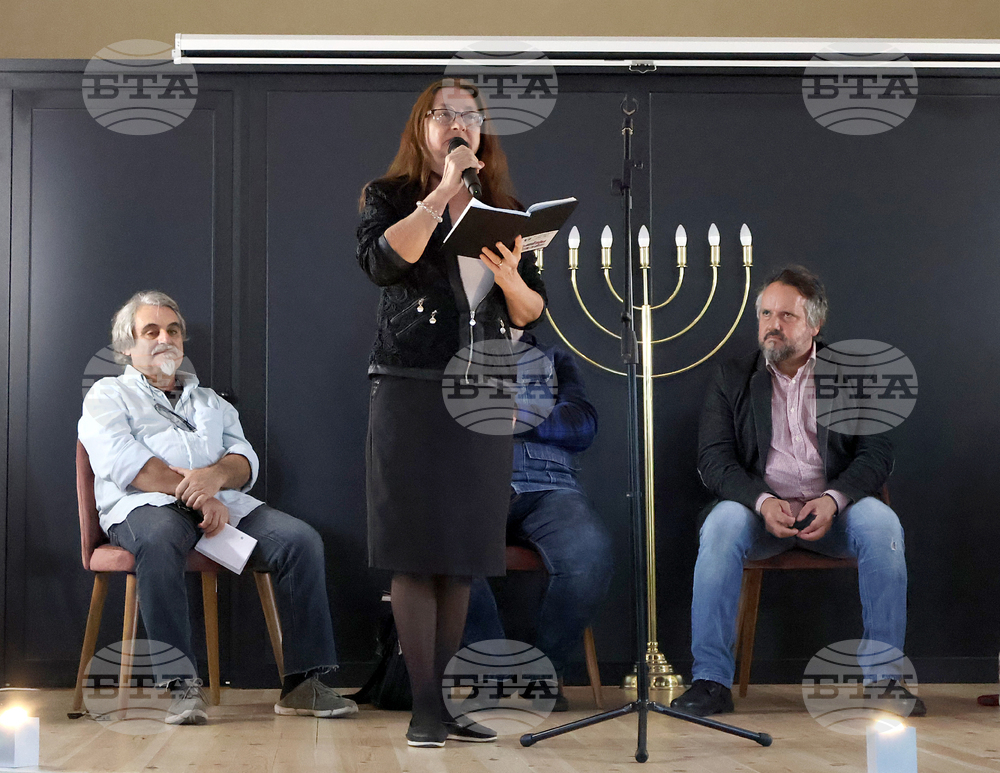 Видин - поетичен пленер