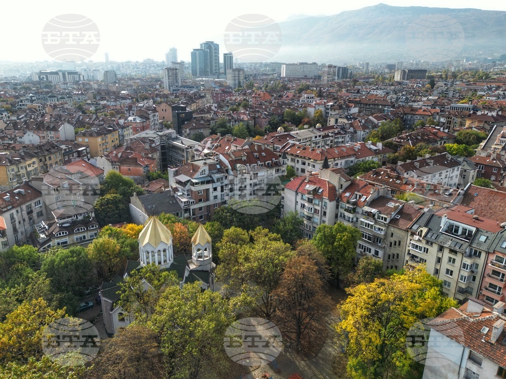 Столица - изглед