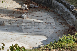 Габрово -  "Градинката с мечката" - полиция