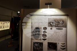 Белгия - Европейски парламент в Брюксел - "Провадия-Солницата" - изложба 