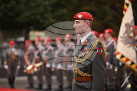 Австрия - премиер - посрещане