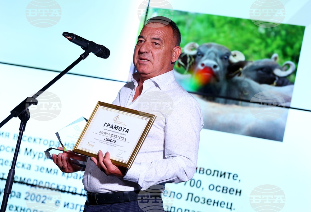 Най-добра българска фирма на годината