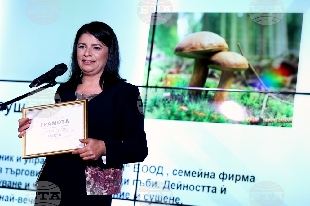 Най-добра българска фирма на годината