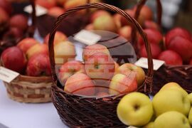 Селскостопанска академия - Празник на земеделската наука