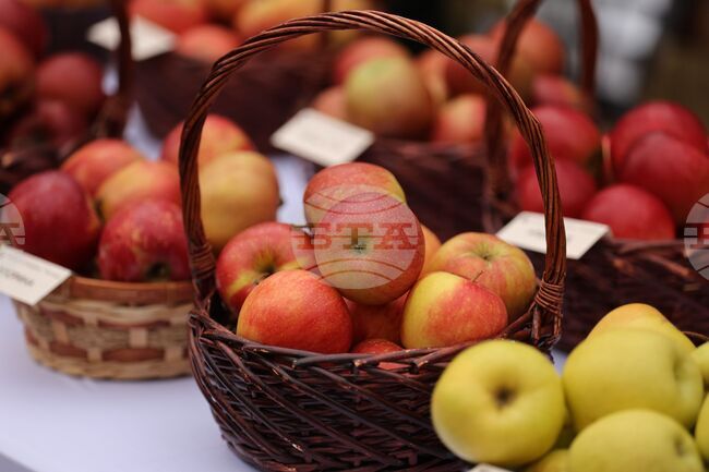 Кандидатите за обвързано подпомагане за плодове и зеленчуци могат да подават документи до 31 януари, припомнят от ДФ "Земеделие"