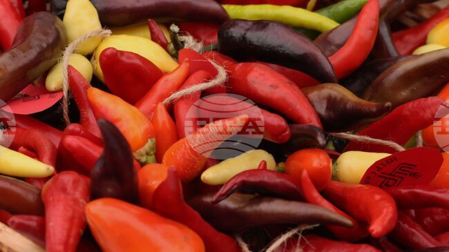 Bulgarian Wins League of Fire World Chilli-Eating Title