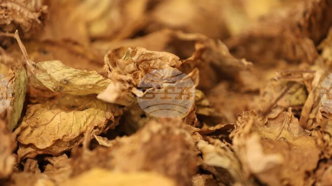 Румънски гранични полицаи откриха близо един тон насипен тютюн в български микробус 