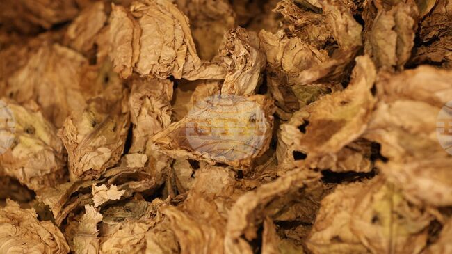 Сектор „Тютюн“ настоява за спешна работна среща с екипа на Министерството на земеделието и храните и последващ Консултативен съвет