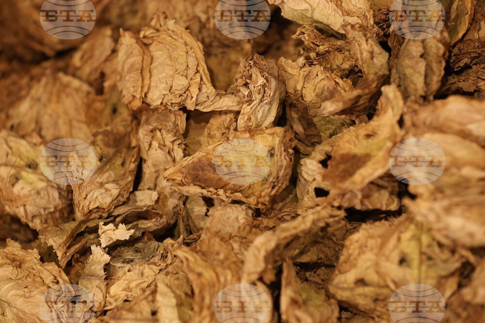 Конгрес на Европейската организация на тютюнопроизводителите УНИТАБ