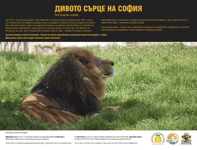 Столична община: Фотографска изложба за Зоологическа градина на София