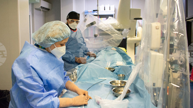 Healthcare Professionals Oppose Idea for Fixing Medics' Remuneration Through Collective Bargaining