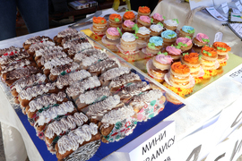 Видин - изложение на специалностите - откриване