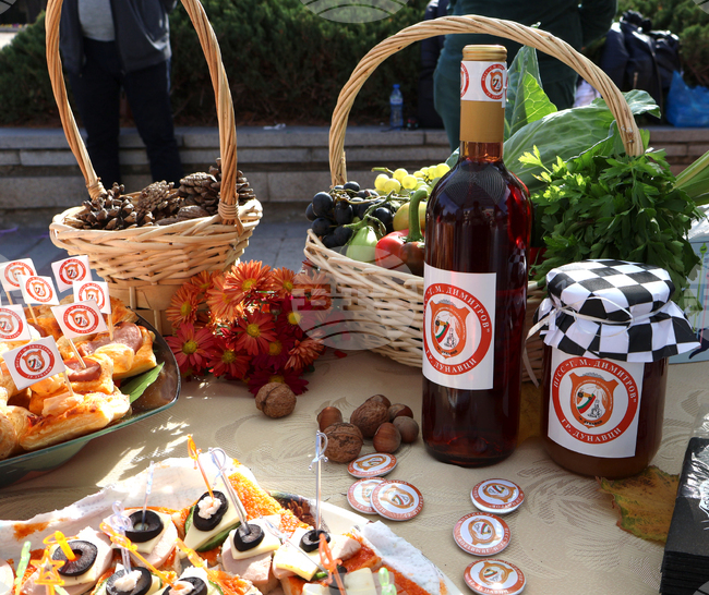 Видин - изложение на специалностите - откриване