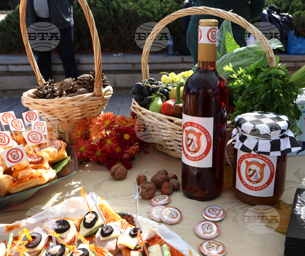 Видин - изложение на специалностите - откриване