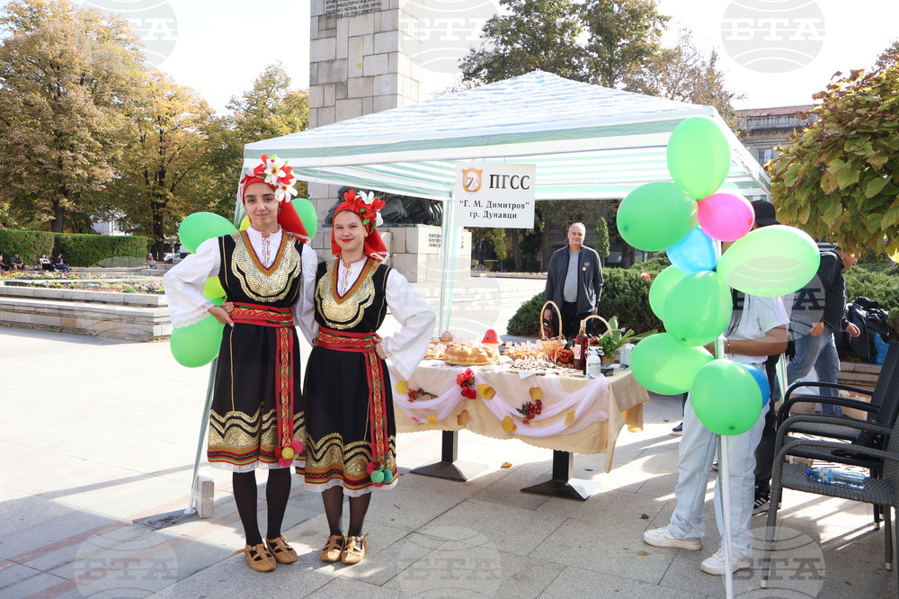 Видин - изложение на специалностите - откриване