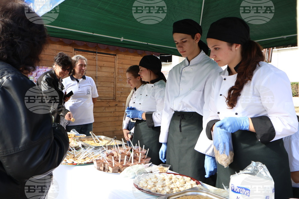Видин - изложение на специалностите - откриване