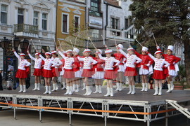 Видин - изложение на специалностите - откриване