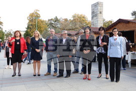 Видин - изложение на специалностите - откриване