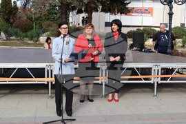 Видин - изложение на специалностите - откриване