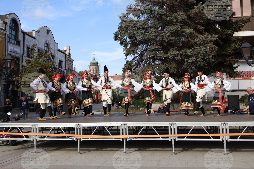 Видин - изложение на специалностите - откриване
