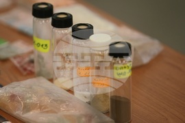 Летище София - Агенция „Митници" - DEA - Агенция за борба с наркотиците на САЩ - инициатива