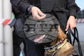 Летище София - Агенция „Митници" - DEA - Агенция за борба с наркотиците на САЩ - демонстрации