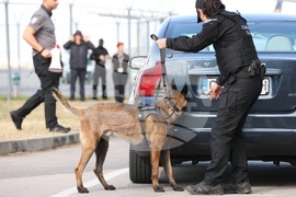 Летище София - Агенция „Митници" - DEA - Агенция за борба с наркотиците на САЩ - демонстрации