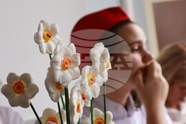 МОН - Галин Цоков - информационна среща