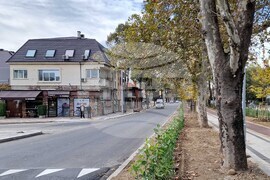 Пловдив - булевард - ремонт