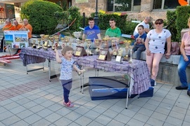 Ловеч – Празник на спортните клубове