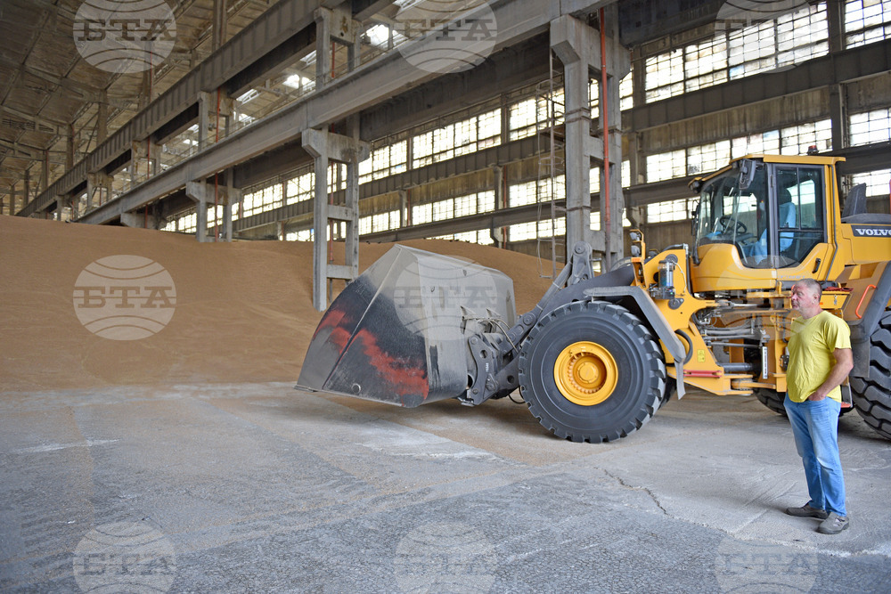 Варна - склад - зърно