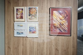 Петрич - изложба „Петрички багри“