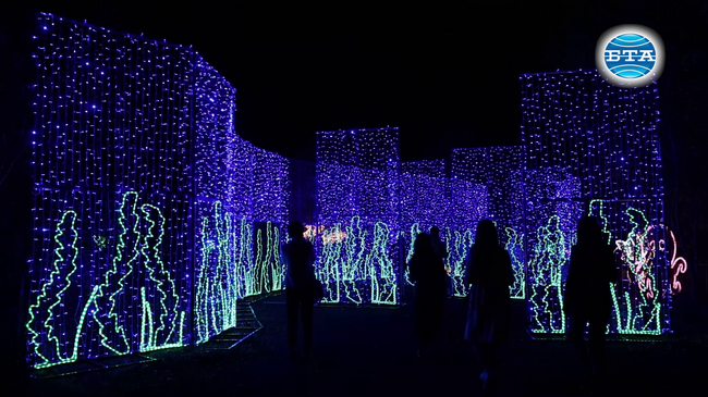 В Ботаническата градина на БАН започва светлинното изложение „Вълшебната градина“