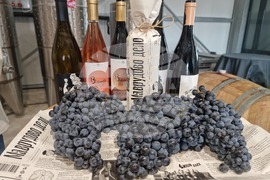 Южен Сакар - медиен тур "Международен ден на мавруда"