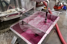 Южен Сакар - медиен тур "Международен ден на мавруда"