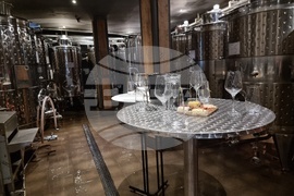 Южен Сакар - медиен тур "Международен ден на мавруда"