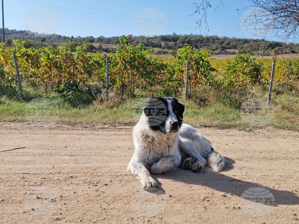 The Weather on May 16