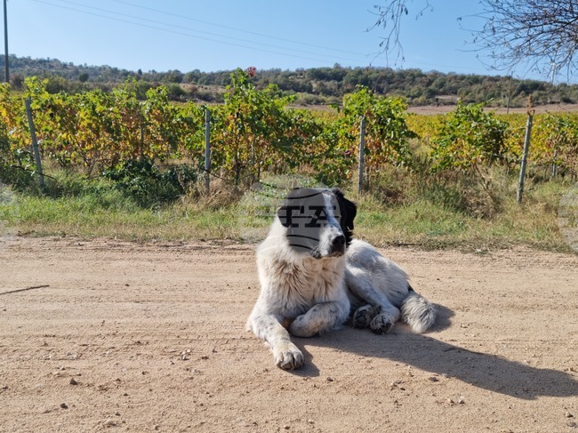 The Weather on May 16