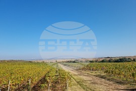 Южен Сакар - медиен тур "Международен ден на мавруда"