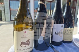 Южен Сакар - медиен тур "Международен ден на мавруда"